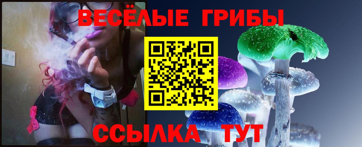 Галлюциногенные грибы Psilocybine cubensis Ноябрьск