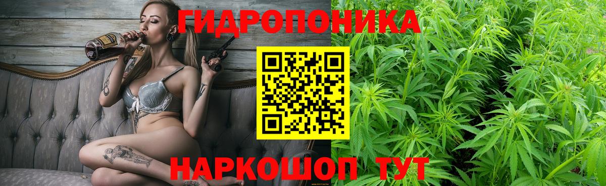 Каннабис семена  Вход с VPN  Бошки марихуана конопля  Шишки марихуана сатива  Ноябрьск  Бошки марихуана THC 21% 